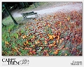 Cadono le foglie nel vortice dell'autunno